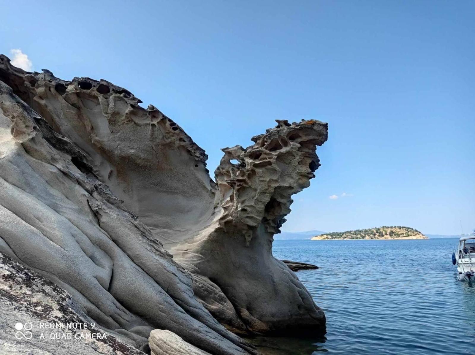 κούκος ευζην * Sykia Chalkidikis